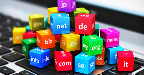 Website Domain Hosting Service in Surat
