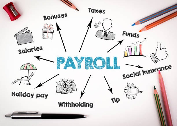 School ERP Payroll Dashboard